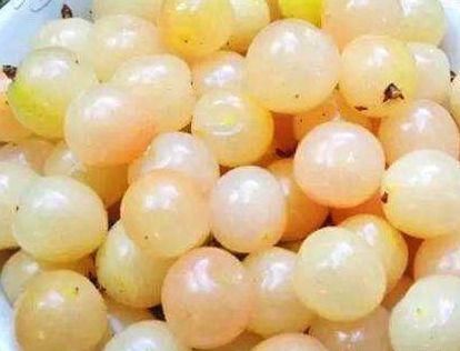 有气质|女性睡前吃一物,肠胃舒畅气色红润,孩子都夸美丽年轻有气质