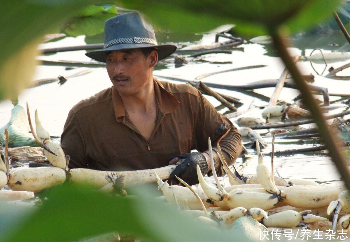 秋燥|秋季养生七个“最佳”,秋天过好,冬天不恼