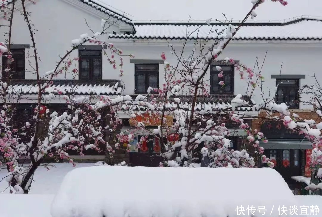 中年|难得一见的春日雪景，美到心醉！