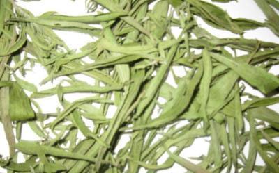 低热量|山中一种“野草”,叶子甜腻腻,低热量、不发胖,你们吃过吗?