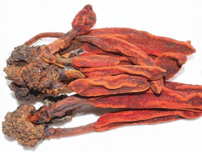 回春草|种回春草能卖200元一斤,结了婚的男人都在找,遇见最好不要错过