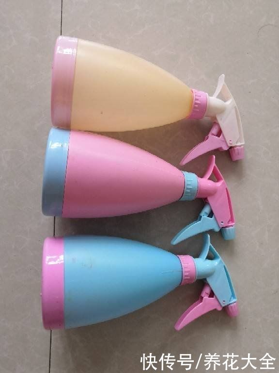 神器|养花需要的5件神器，别看它们小，用处是真不少