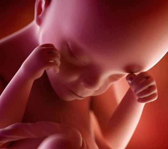 小王子|怀孕后,如果孕妈的检查结果是这3种情况,恭喜,可能是小王子!