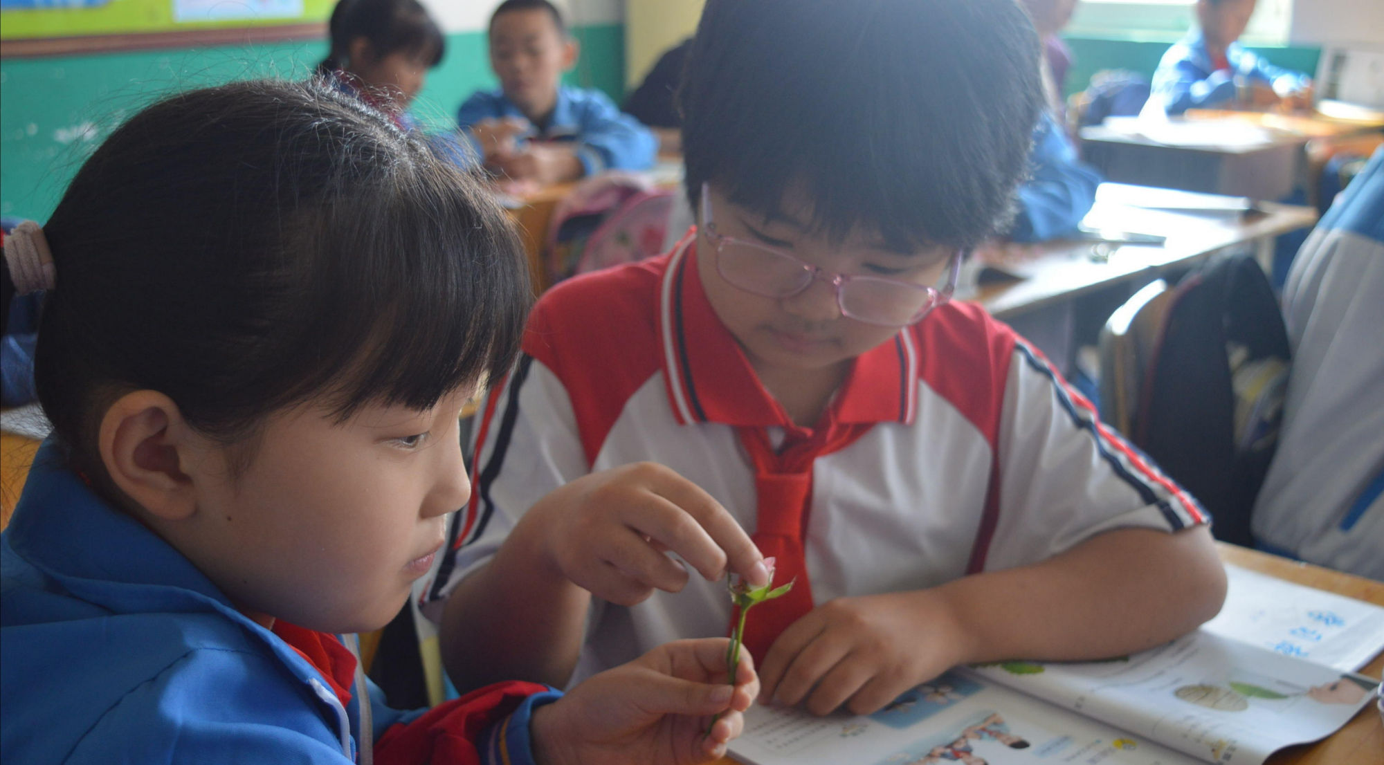 教研|双减之下，课堂提质—东平县C片区教研在大羊镇中心小学成功举行