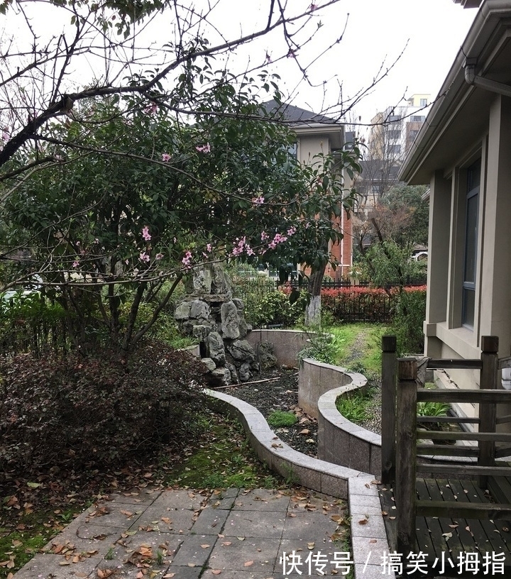 标的|安徽省芜湖市一227平房产将拍卖,以342万元起拍