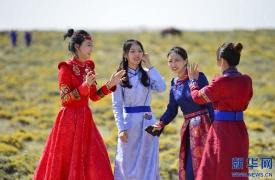 炫彩夏日|赏花经济 炫彩夏日