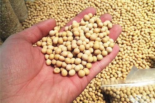 源头|女性长出讨厌的“小胡子”怎么办?调节4个诱因,才能控制源头