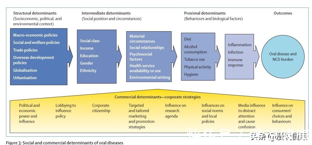 牙周病|35亿人有24亿人没去看牙医?牙龈出血,为何说是一个危险的信号?