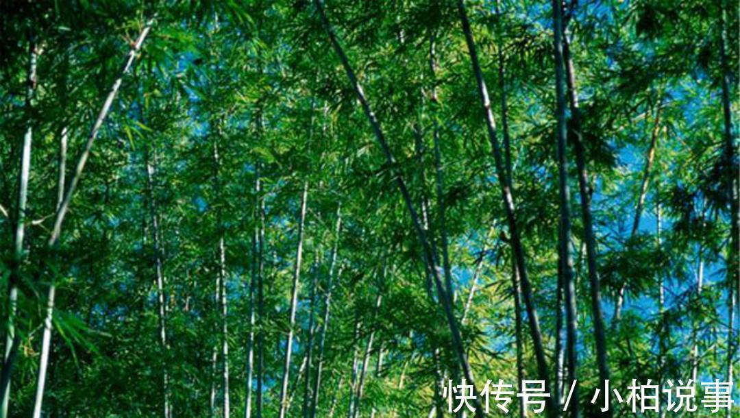 王维#王维的境界无人能及,晚年写下的这首五绝,一字一句超凡脱俗!