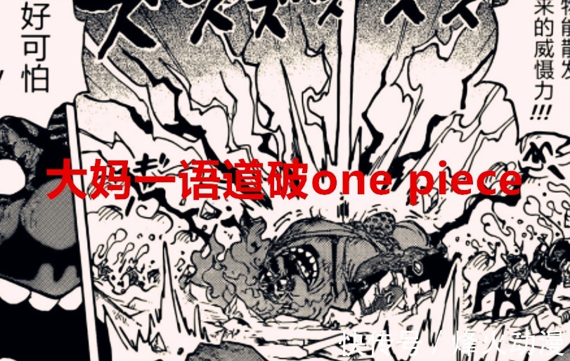 海贼世界|海贼王1040话:大妈一语道破one piece,原来大秘宝就在我们身边