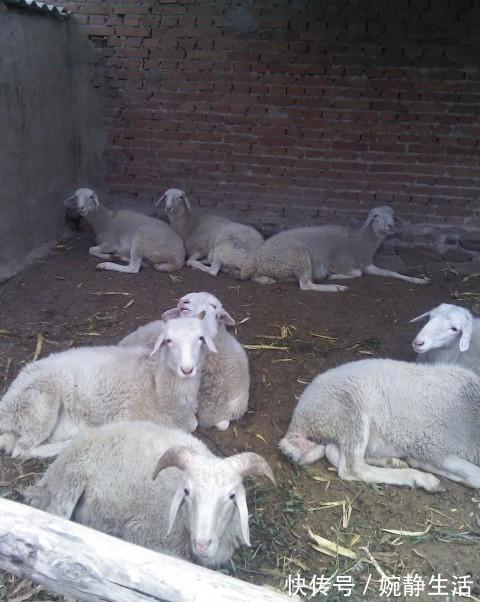 公婆|远嫁北方农村,晒晒和公婆同住的家,厨房还是第一次见