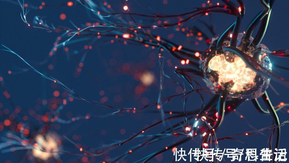 细胞|癌细胞为什么这么顽固?假如吃下一块癌细胞,人体会发生什么?