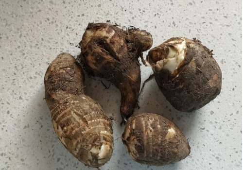 用它蒸排骨,比用土豆和红薯好吃,粉糯又开胃,每次都比肉先吃完