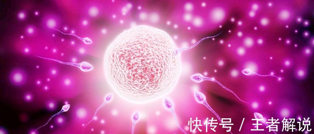 股骨长|在孕期,“怀男宝”的孕妈在孕检时,多数有几种症状,来自测一下