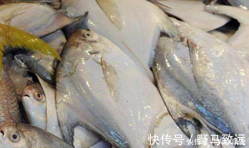 买鱼时，优先选择这6种鱼，肉多刺少营养也高，贵也要多给孩子吃