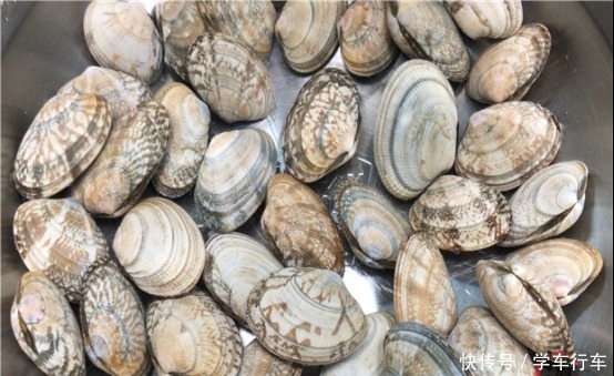 今天才知道,洗花蛤不能只加盐,老渔民用它泡一泡,花蛤狂吐沙!