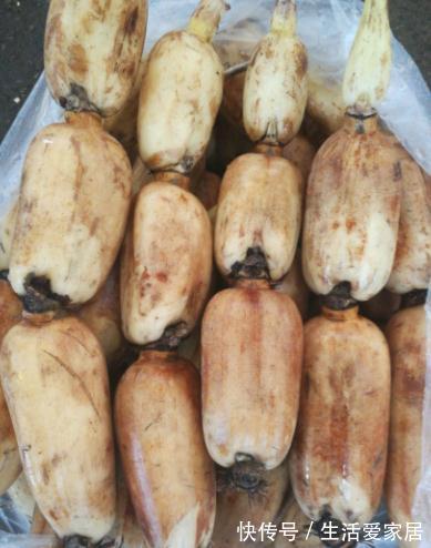 去秋燥|秋分后，有钱没钱，记得多给家人吃这3种碱性食物，帮助去秋燥！