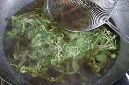 烹饪|家里的主厨要注意：4种蔬菜吃之前一定要焯水，避免食物中毒