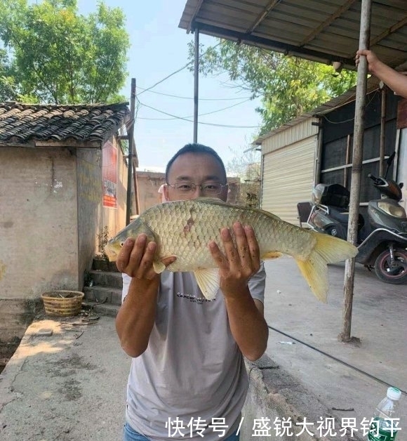 四川钓鱼人钓起“水库鲫鱼王”,重5斤,网友:并不好吃