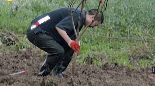 彭昱畅 《向往的生活》:干最轻的活,拿最高的片酬,竟然还有人喊累?