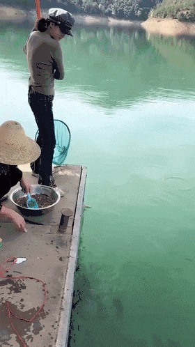 |搞笑GIF：老婆太厉害了 她说这样晾衣服干的比较快