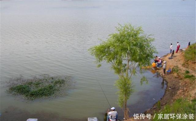 野钓中的绝佳钓位,钓鱼人的必争之地,随便选哪个,渔获都有保证