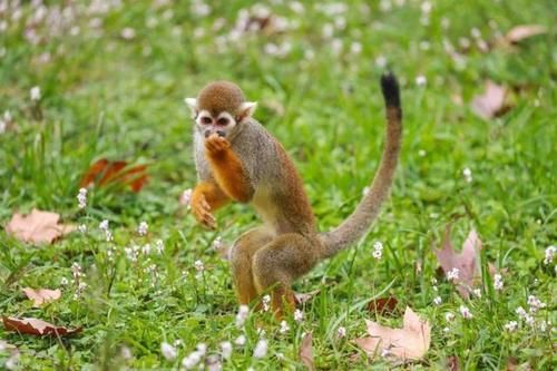 最潮流发型，你pick哪一个？