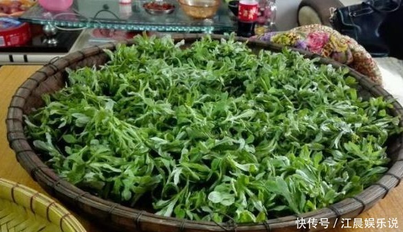 脚气|泡脚水里加“一物”，三天泡一次，不出一个月，可能收获三个改变