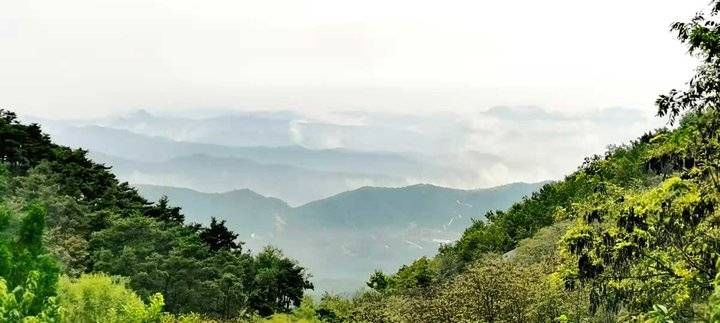 跑马岭景区|济南跑马岭景区现云海奇观，太美了