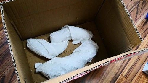 简单|教你如何保存萝卜？不放冰箱、不埋土，简单3步，吃一冬天都新鲜