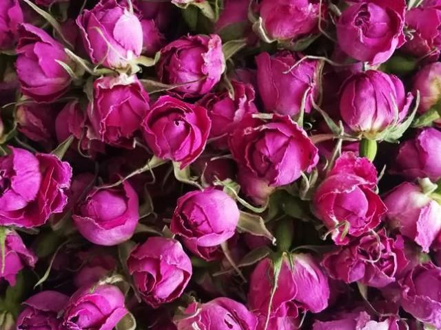 玫瑰花|天然的“黄体酮”找到了,女人每天坚持吃,或助你排毒养颜抗衰老