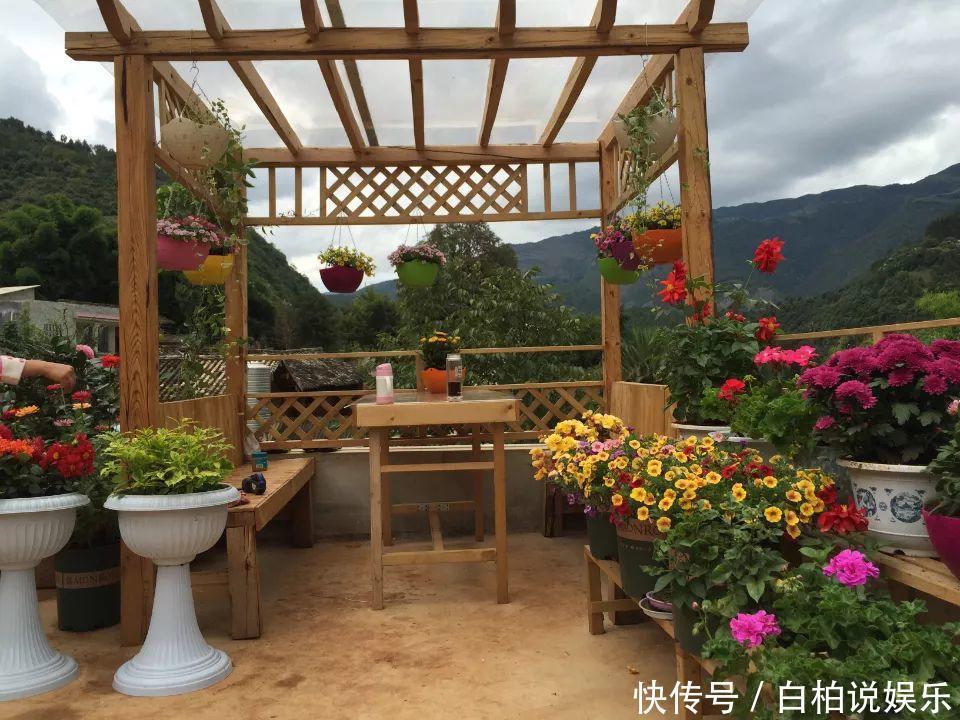 女婿在楼顶养多肉,村里人都跑来参观,丈母娘高兴坏了!