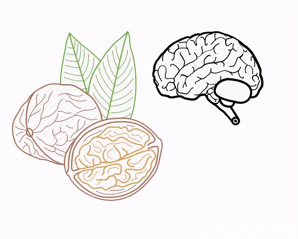 人体健康|每日适量吃核桃,最终怎么样?用不了多久,这3个好处唾手可得