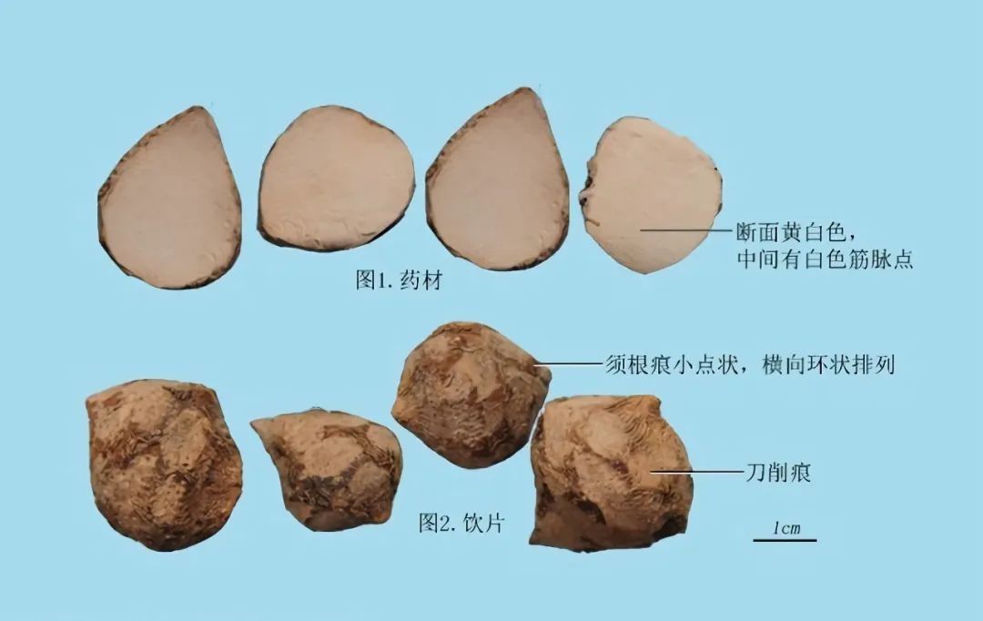  丈夫|清风典历｜少年心事 丈夫情怀