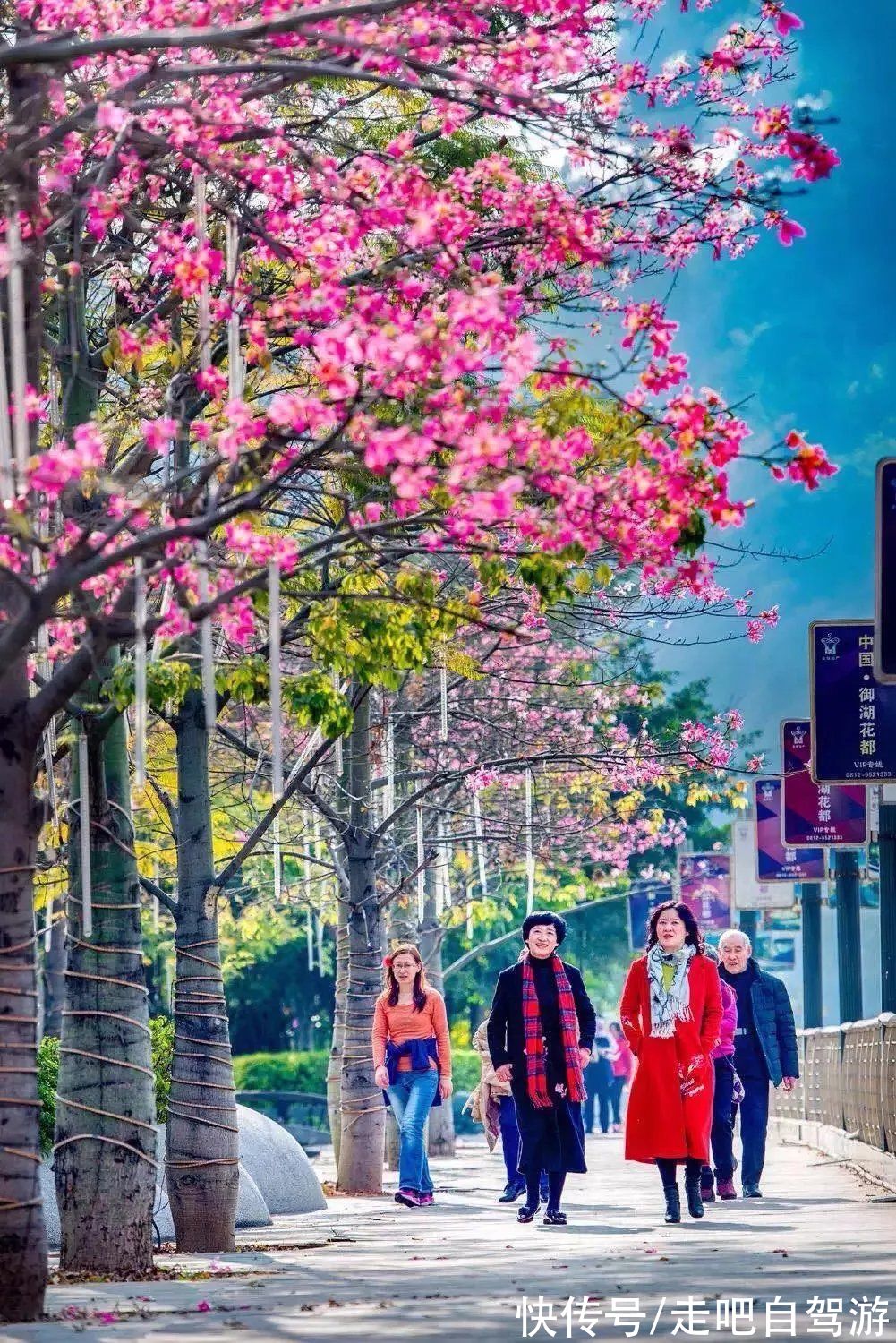 自驾|北上看雪，南下看花，这12个地方承包年末旅行