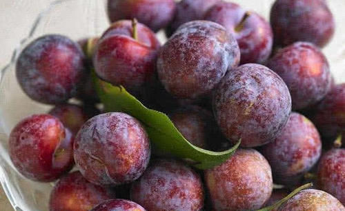 花叶病毒病|想长寿全靠吃，3种食物离不开，保护肝脏，祛除脸部黄褐斑