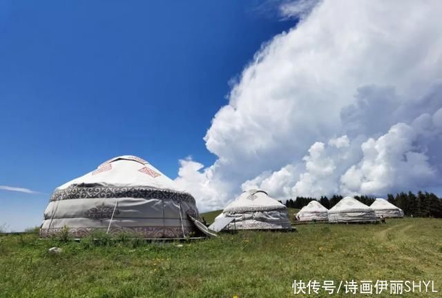 中年|走进伊犁河谷，眺望天山草原的秀美风光!