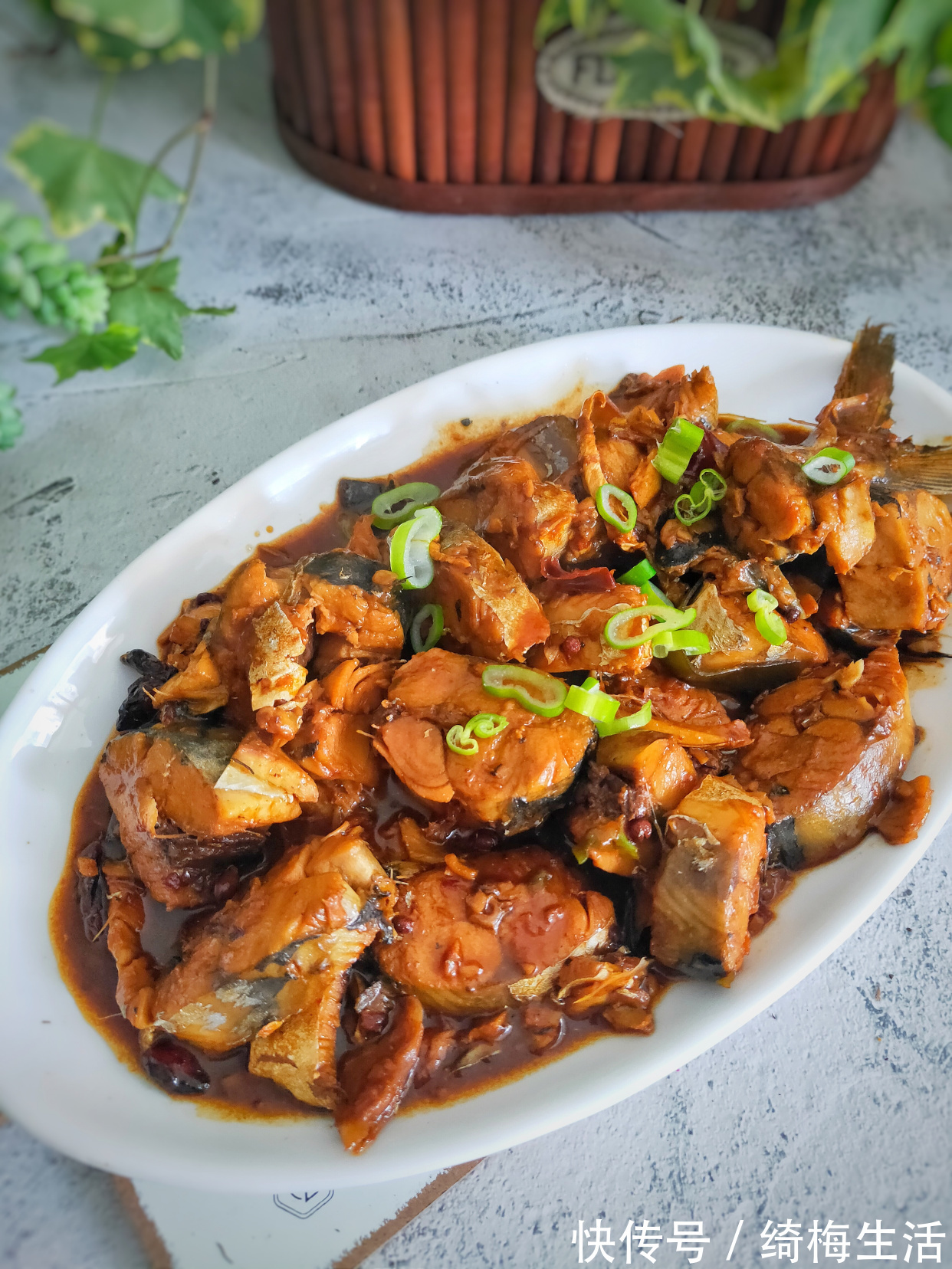 鲅鱼|这鱼便宜还没刺，遇到从不手软，一买就是七八斤，营养丰富味鲜美