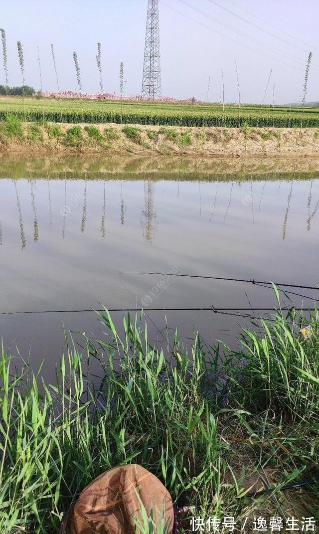 西南风|天刮西南风气死老钓翁野钓风向对鱼获影响知多少