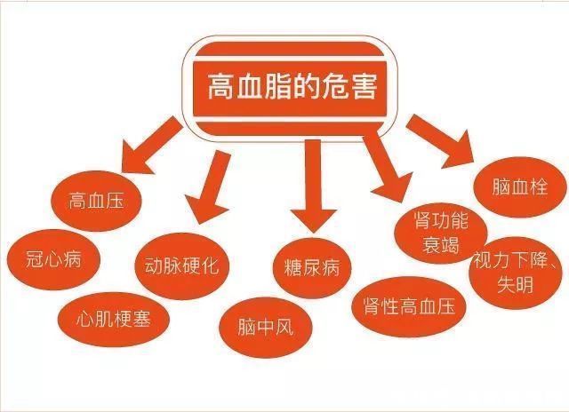 检查|身体若有这4种表现，当心血脂在飙升！应及时检查