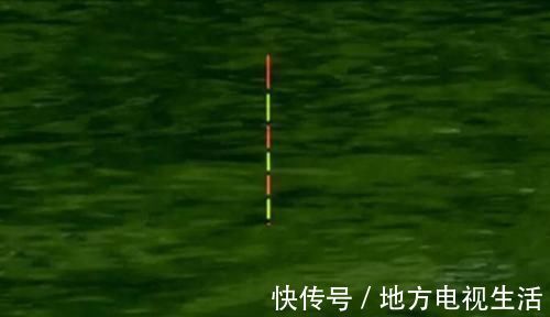 钓鱼不会调漂?按照这几步慢慢来,准没错!