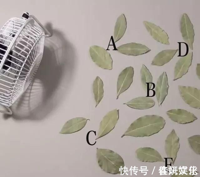 howardlee!一组非常逼真的3D画,让人真假分不清,你能找出哪一个是假的吗