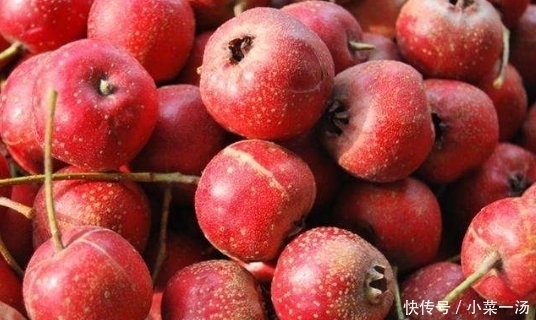 上品|良药苦口利于病,我们一起盘点那些“苦味”,让你坚筋骨,永不老