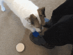 |搞笑GIF趣图：兄弟，你表情很到位啊