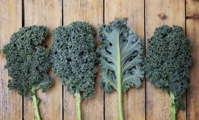 皮肤又显老又粗糙？吃点TA比“贵妇面霜”都有效！