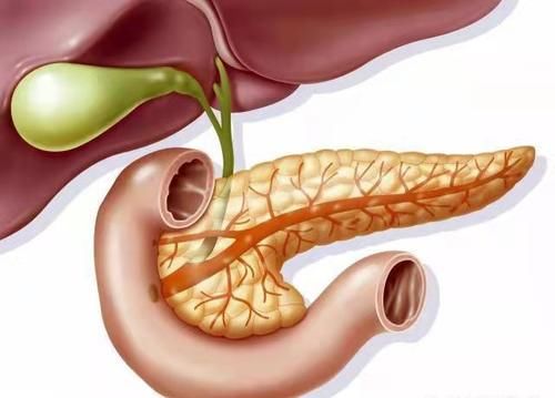 腹泻|男子腹痛腹泻，迅速休克病因未明，直至医生看到：患者胸口上红点