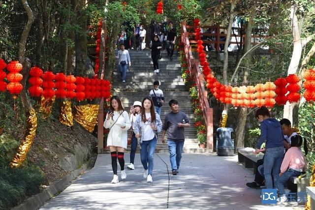 中年|春节长假，银瓶山森林公园谢岗景区迎客14.4万人次