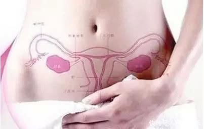 黑枸杞|女人子宫不好, 身体会有4个表现, 很多人忽视了, 难怪妇科病缠身