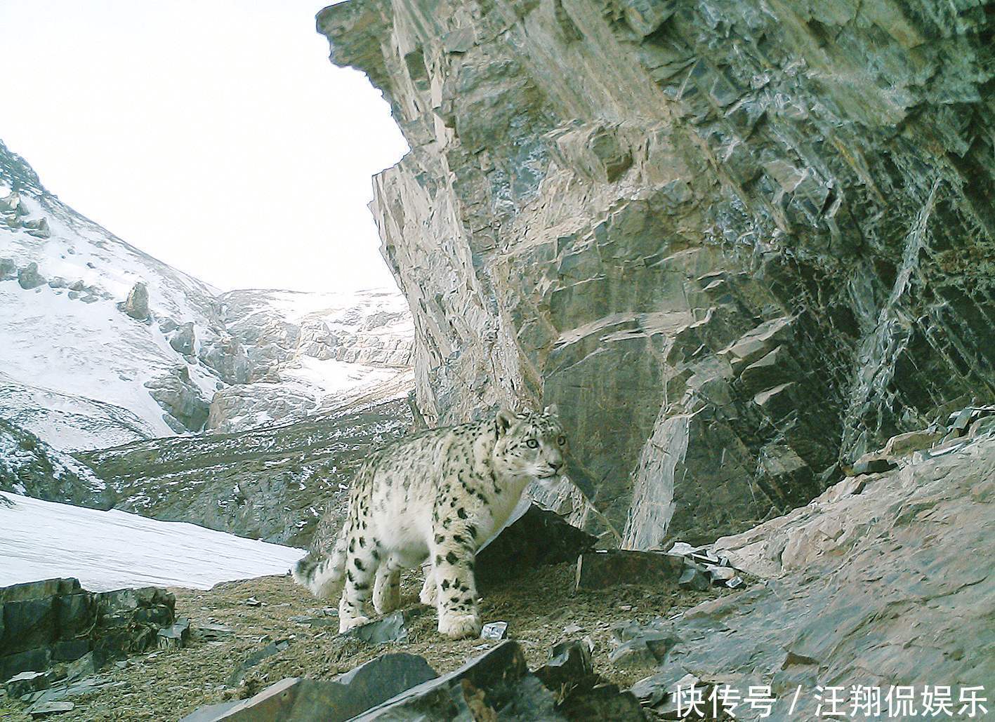 阿尼玛卿山下发现15万平方公里的空洞，青藏高原是空心的？