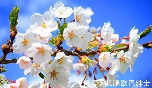 王晏媄$10首写雨诗词,《春夜喜雨》第三,《巴山夜雨》第二,哪首第一?